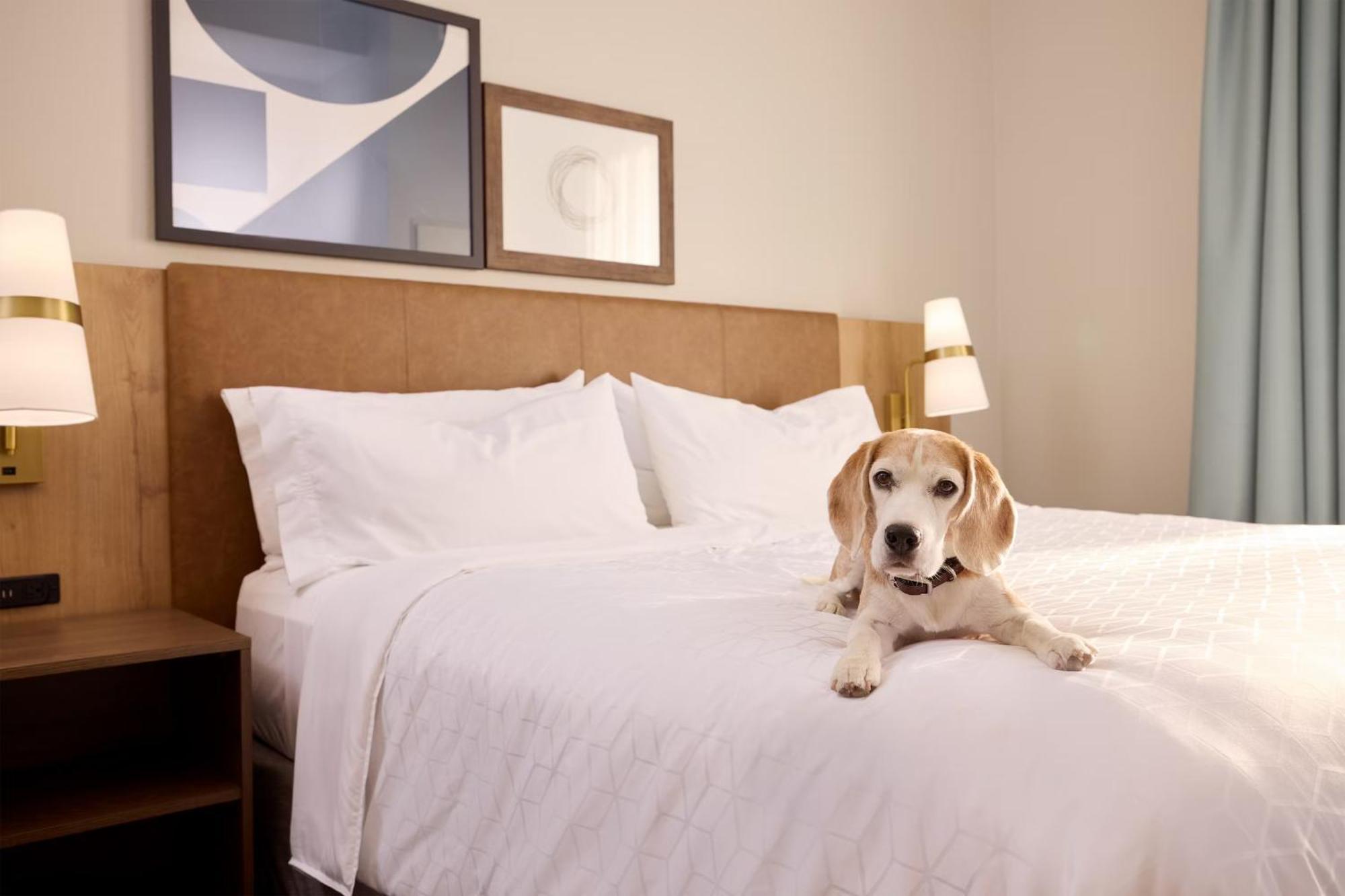 Staybridge Suites Omaha 80Th And Dodge By Ihg Ngoại thất bức ảnh